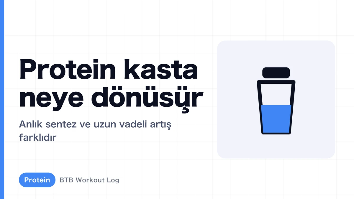Protein Aldığında Kasında Neler Oluyor? Kas Proteni Sentezini Açıklıyoruz