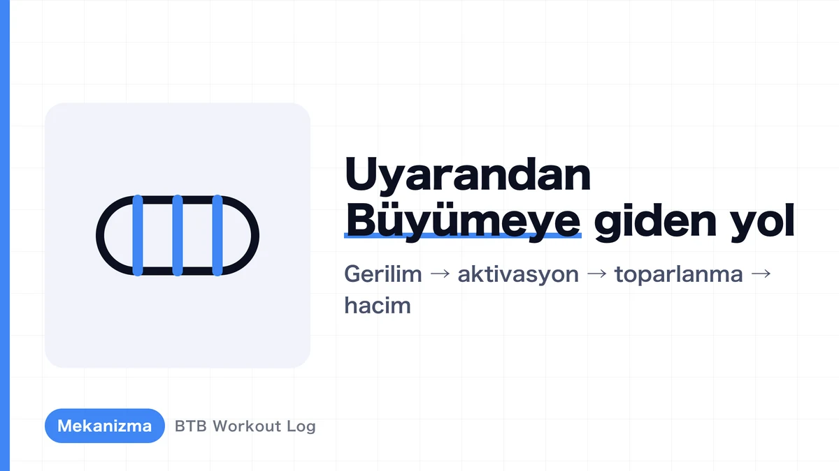 Neden antrenmanla kaslar büyür? Kas hipertrofisine giden yolun açıklaması