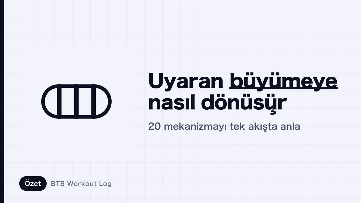 Kas hipertrofisinin mekanizması | Uyarıdan büyümeye giden sürecin sırasıyla anlaşılması