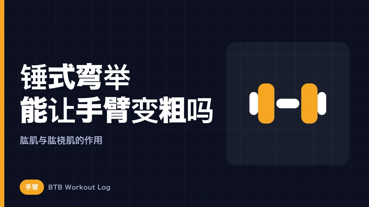 锤式弯举能让手臂变粗吗？练肱肌和肱桡肌的真正意义