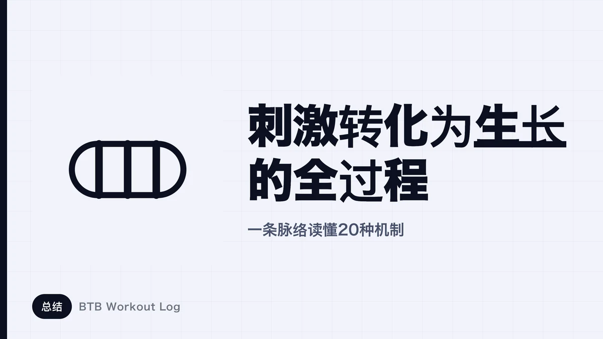 肌肉肥大的原理 | 从刺激到生长的完整流程