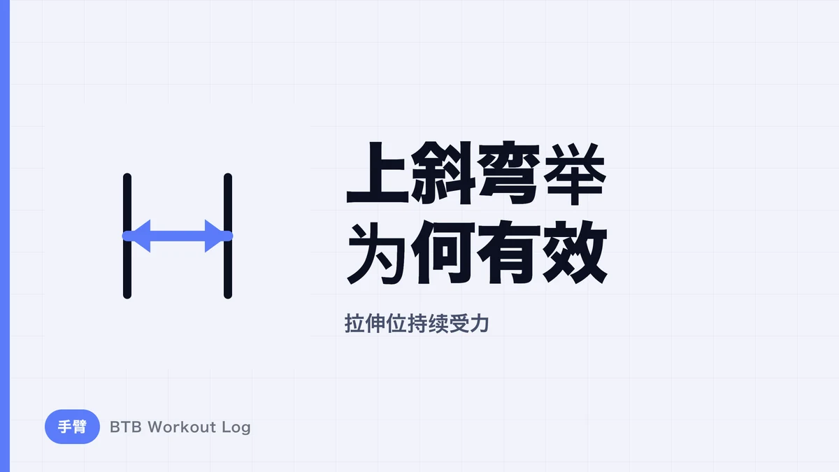 上斜哑铃弯举为什么有效？拉长位训练肱二头肌的优势