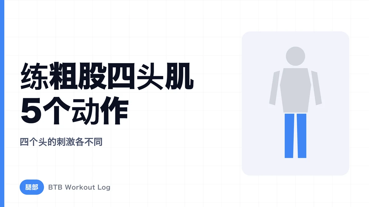 大腿四头肌增肌动作5选 | 4个肌头的刺激差异与搭配方法