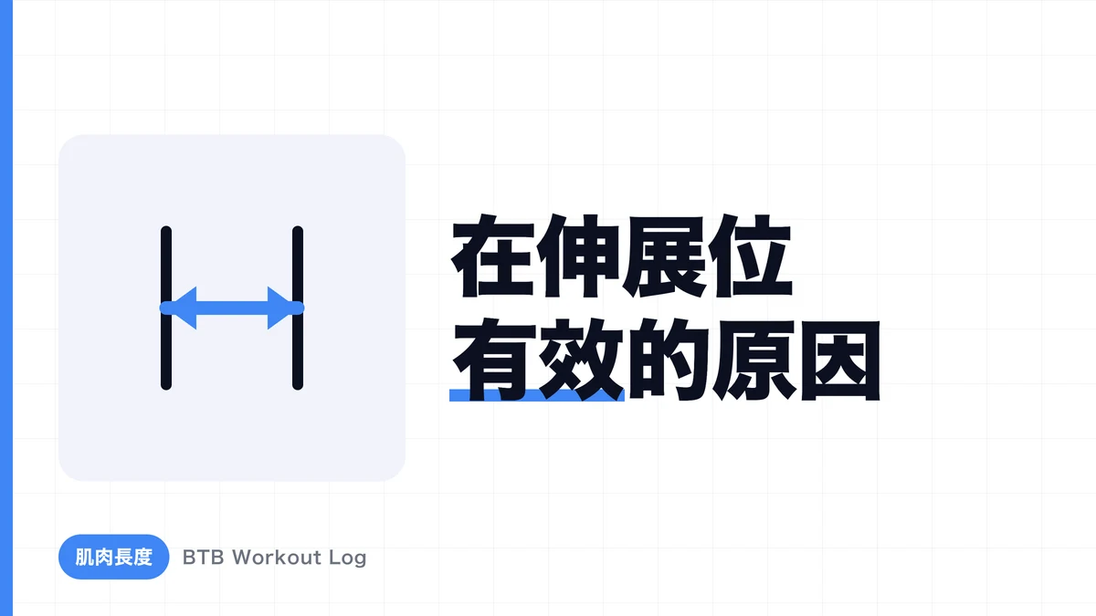 為什麼在伸展位置施加負荷更容易促進肌肉肥大？