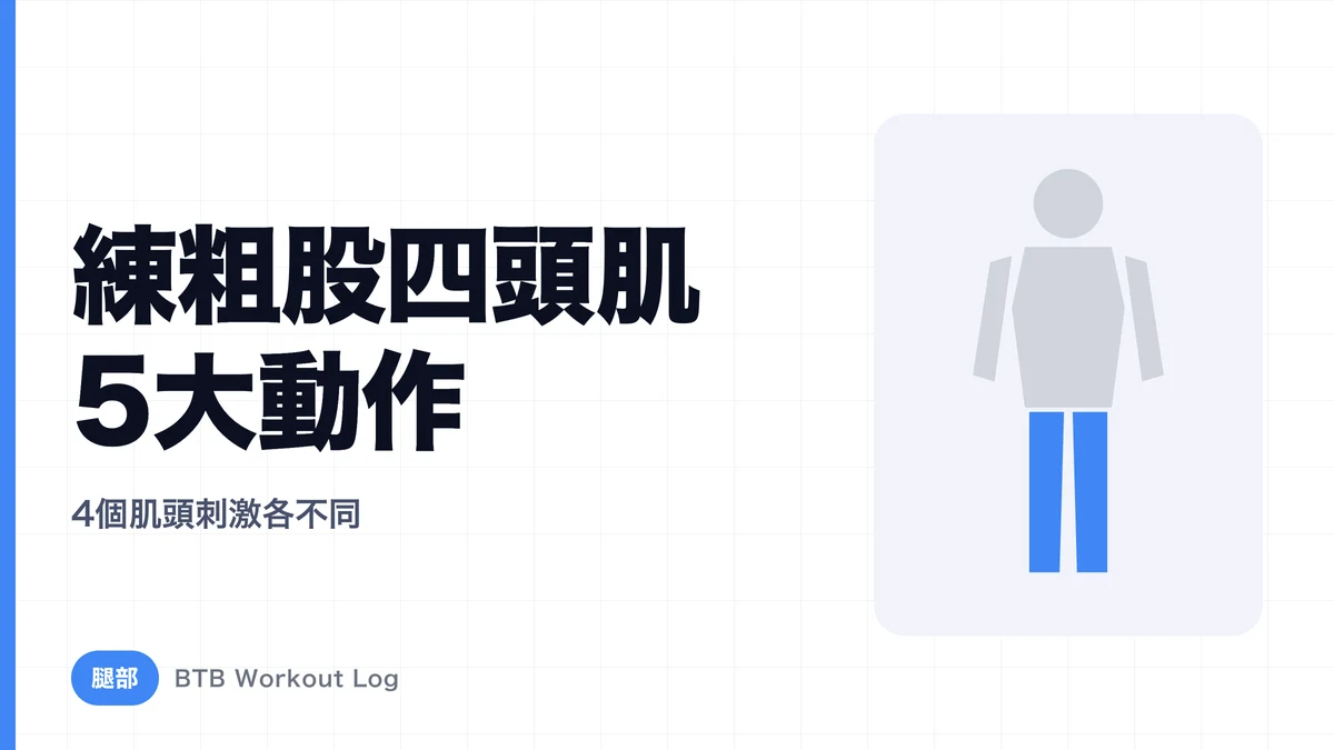 股四頭肌增肌動作5選 | 4個肌頭的刺激方式與搭配法
